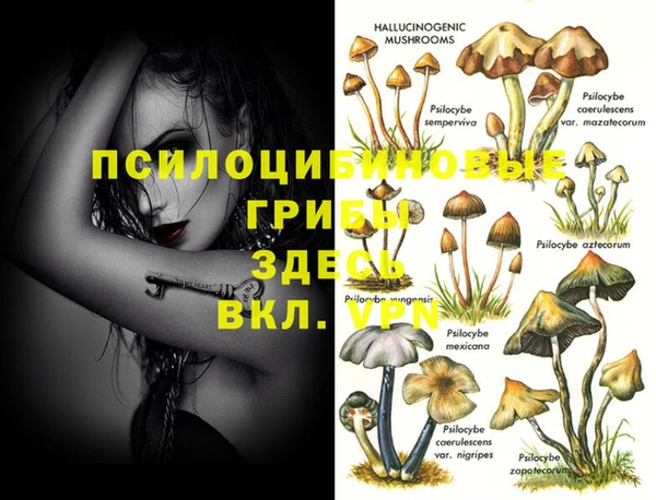 метамфетамин Белокуриха