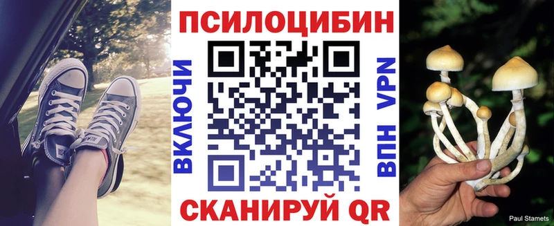 MEGA ссылка  Кунгур  Псилоцибиновые грибы мухоморы  как найти закладки 